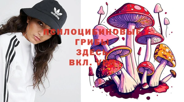 каннабис Магас