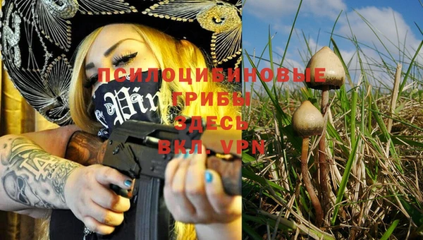 мяу мяу мука Липки