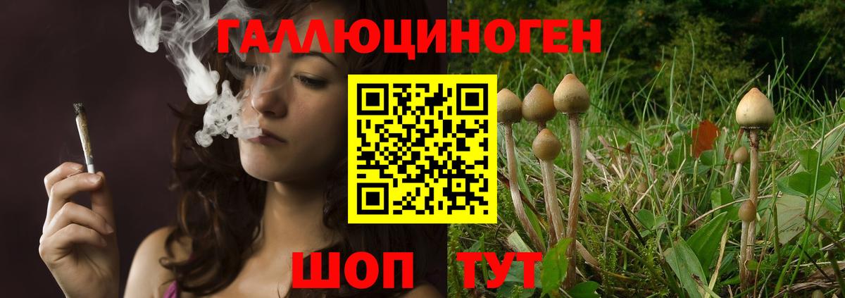 Псилоцибиновые грибы Psilocybe  Вход с VPN  Галлюциногенные грибы Psilocybine cubensis  Усть-Кут 